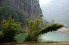 Amazing Wuyi Mountains