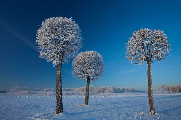 Enjoy the fairy winter scenery all around the world!