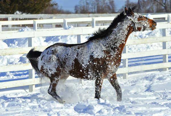 Enjoy the fairy winter scenery all around the world!