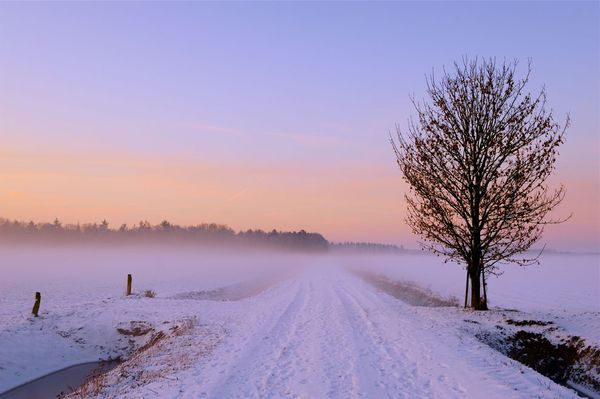 Enjoy the fairy winter scenery all around the world!