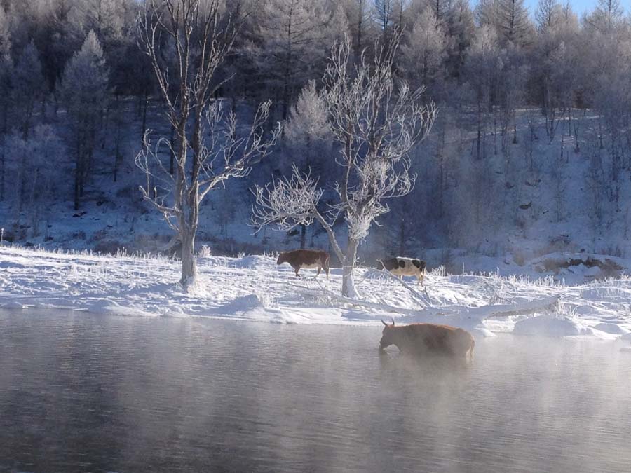 Arxan's 'ice-free' fairytale river