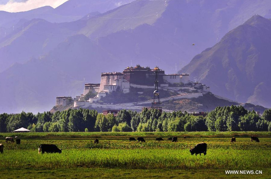 Photo taken on June 26, 2014 shows the scenery of Lhalu wetland on the northwest outskirts of Lhasa, capital of southwest China's Tibet Autonomous Region. Lhalu wetland, at an altitude of 3,600 meters, is the highest natural wetland in China. [Photo/Xinhua]