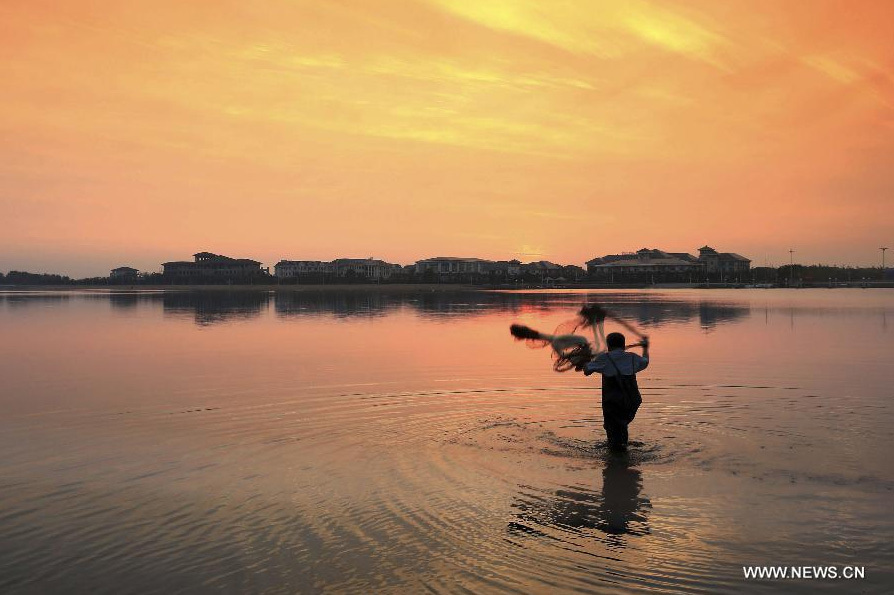 A fisherman casts a net for fishing at dawn in Rizhao, east China's Shandong Province, June 29, 2014. [Photo/Xinhua]