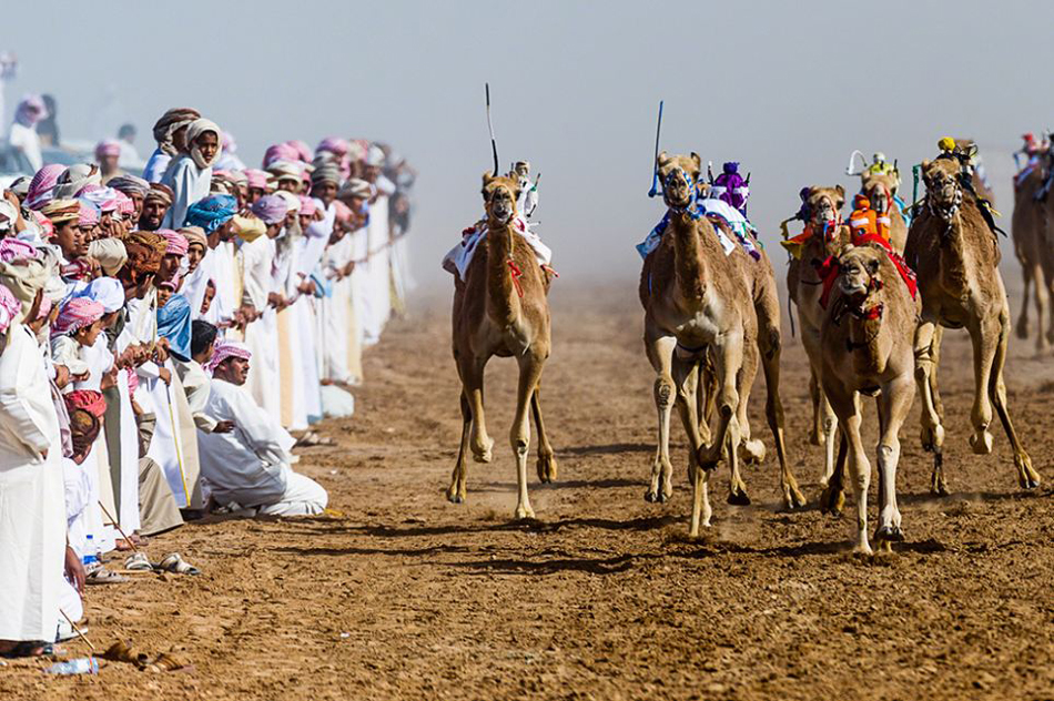 Photos of 2013 Travel Photo Contest