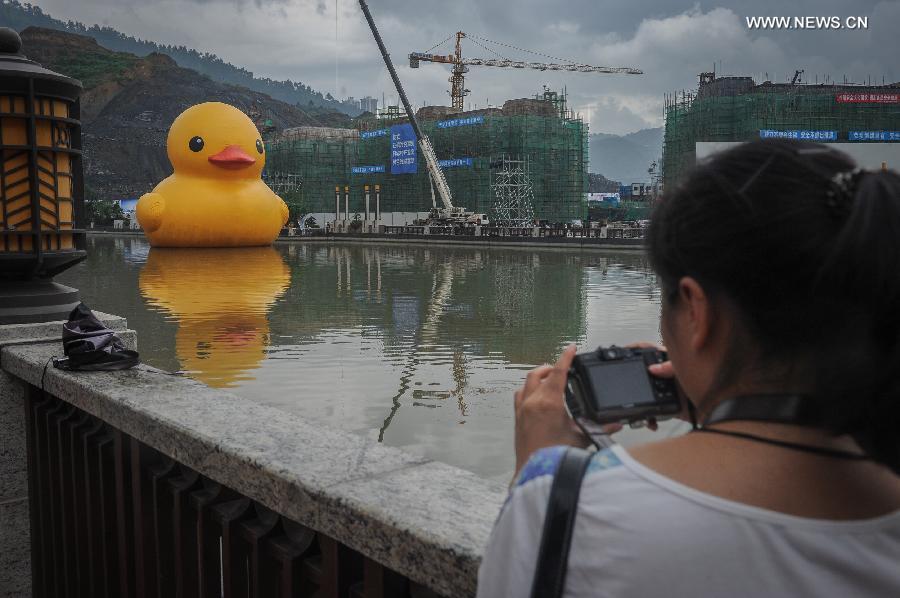 A resident takes photo of a giant yellow rubber duck floating on Nanming River in Guiyang, capital of southwest China's Guizhou Province, July 3, 2014. The 18-meter-tall rubber duck, brainchild of Dutch artist Florentijn Hofman, will berth in Guiyang from July 4 to August 24. [Photo/Xinhua]