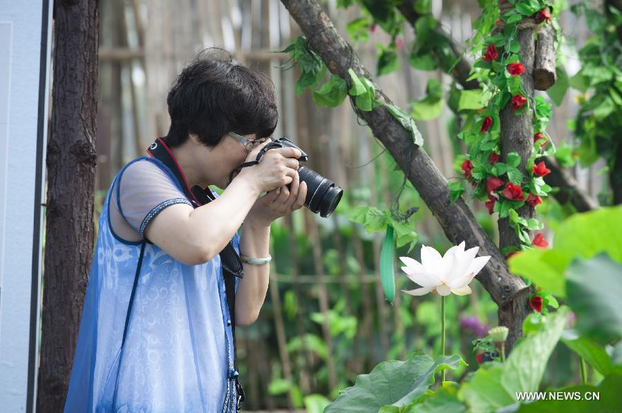 A woman takes photos during the 28th National Lotus Flowers Exhibition at Jinhu County in Huai'an, east China's Jiangsu Province, July 8, 2014. [Photo/Xinhua]