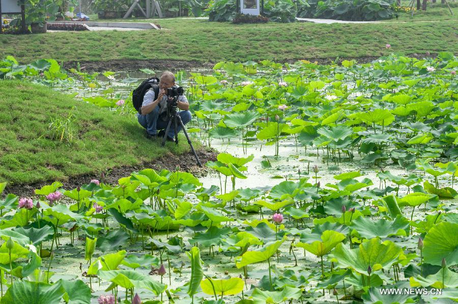A man takes photos during the 28th National Lotus Flowers Exhibition at Jinhu County in Huai'an, east China's Jiangsu Province, July 8, 2014. [Photo/Xinhua]