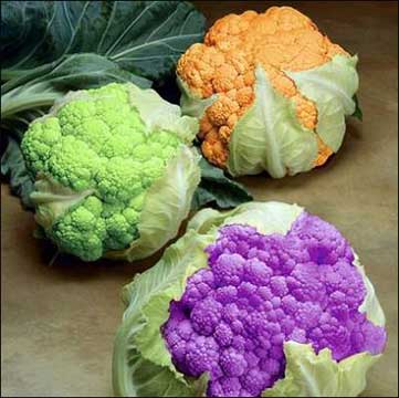 秋季养生 推荐四种排毒蔬果