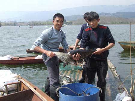 渔业养殖