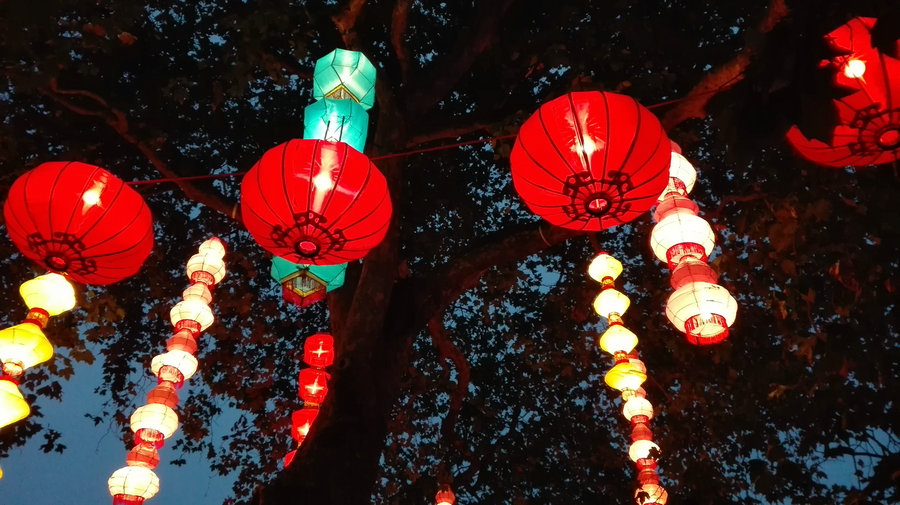 新西兰基督城挂起大红灯笼迎接中国年[摄影:李新月]