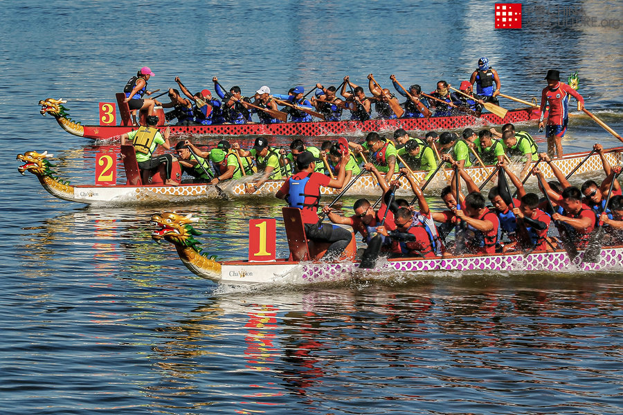 dragon boat race图片